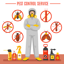 SFT Pest Control Services